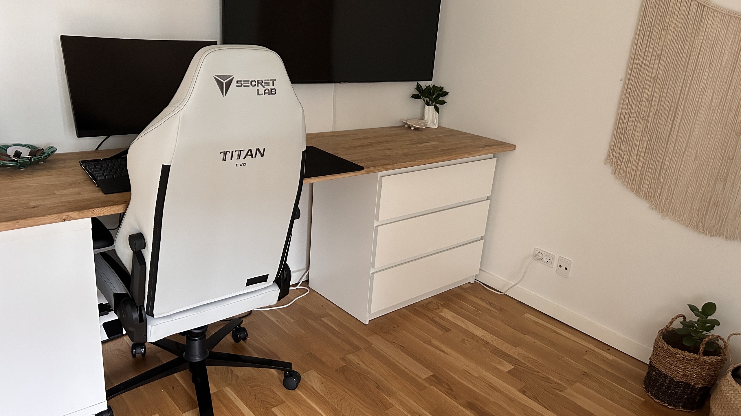 Secretlab TITAN Evo (Ash)